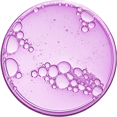 Bubbly purple substance in a petri dish